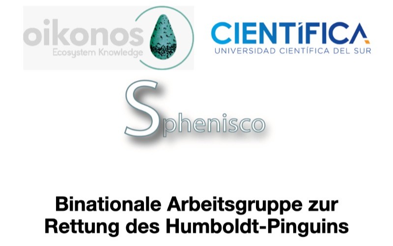 Gemeinsam die Humboldt-Pinguine retten!